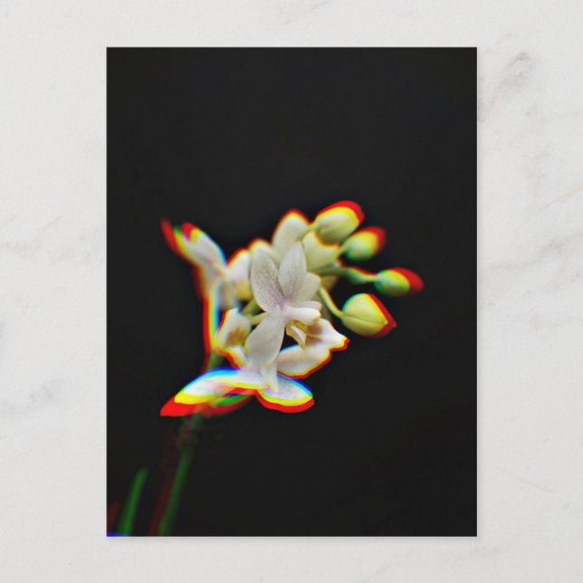Carte Postale Effet de lueur de fleur d'orchidée (Devant)