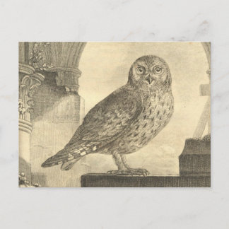 Carte postale éffrayante de la Chouette d'Hallowee