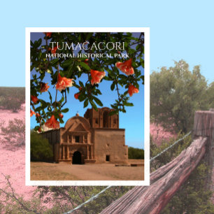Carte Postale Église de la Mission Tumacori, fleurs de grenade