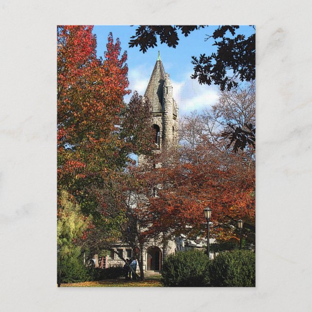 Carte Postale Église et Maples (Devant)