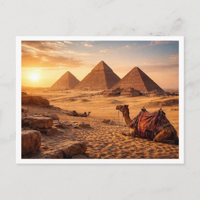 Carte Postale Egypt. Giza Pyramid Complex. Postcard (Devant)
