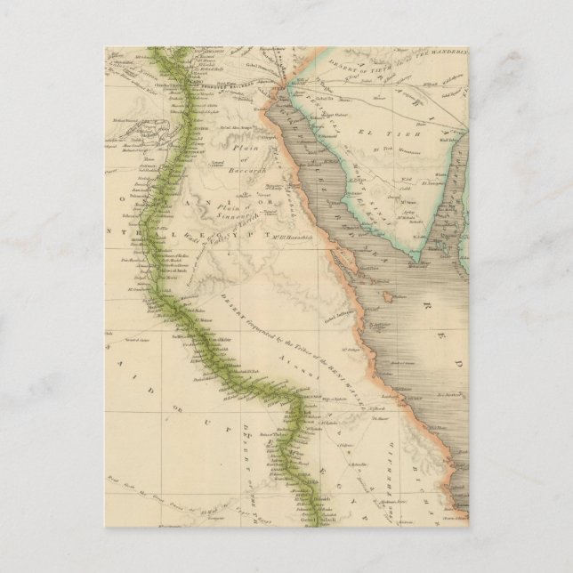 Carte Postale Égypte 8 (Devant)