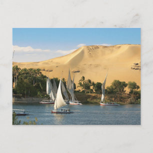 Carte Postale Egypte, Assouan, Nil, Bateaux à voile Felucca, 2