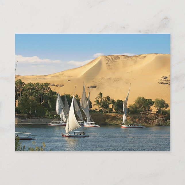 Carte Postale Égypte, Assouan, Nil, voiliers felouques, 2 (Devant)