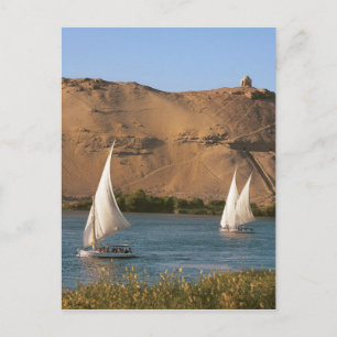 Carte Postale Égypte, Assouan, Nil, voiliers Felucca,