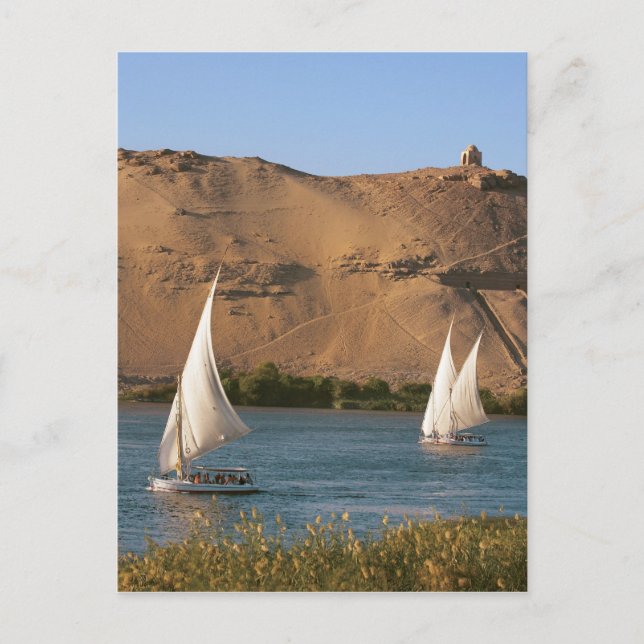 Carte Postale Égypte, Assouan, Nil, voiliers Felucca, (Devant)