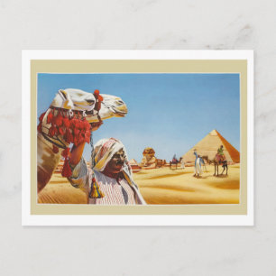 Carte Postale Égypte, bédouin avec son chameau devant les pyrami