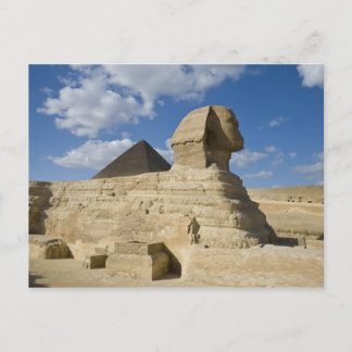 Carte Postale Égypte, Giza. Le grand Sphynx s'élève au-dessus de