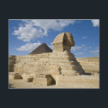 Carte Postale Egypte, Gizeh. Le grand Sphynx se dresse au-dessus<br><div class="desc">Egypte,  Gizeh Le grand Sphynx se dresse au-dessus du fond de la vallée � Brenda Tharp / DanitaDelimont.com</div>