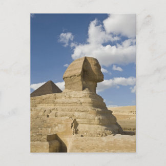 Carte Postale Égypte, Gizeh. Le grand Sphynx s'élève au-dessus d