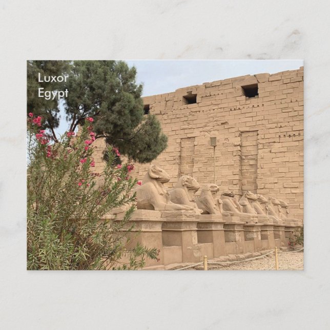 Carte Postale Egypte, Temple de Karnak, Louxor. (Devant)