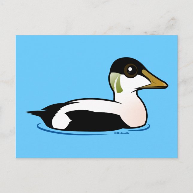 Carte Postale Eider commun Birdorable (Devant)