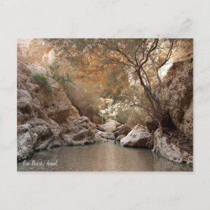 Carte Postale Ein Bokek, Israël.