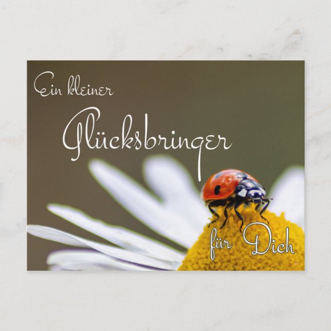 Carte Postale Ein kleiner Glücksbringer für Dich mit Marienkäfer (Devant)