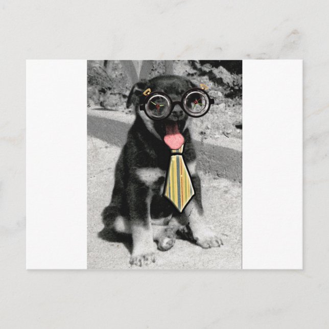 Carte Postale Einstein est un chien de chiot noir intelligent (Devant)