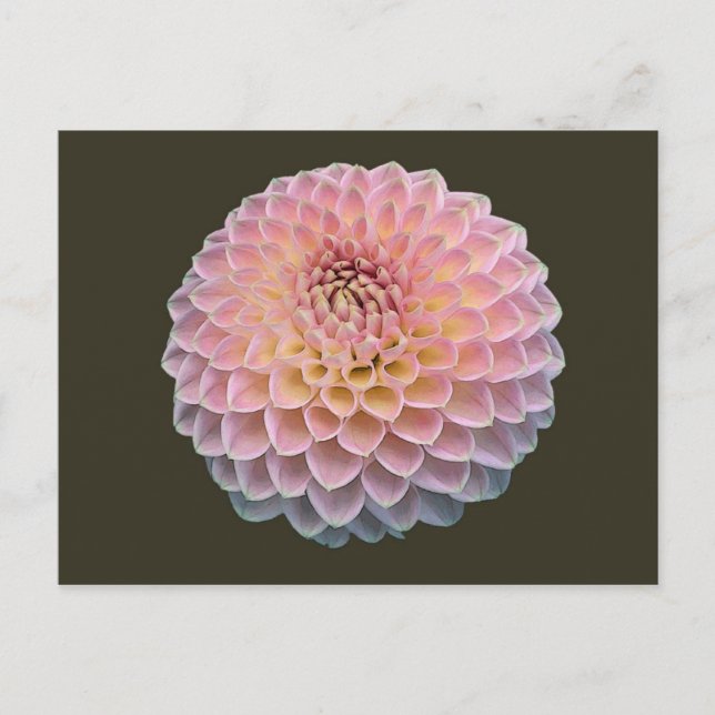 Carte Postale Eklat (Devant)