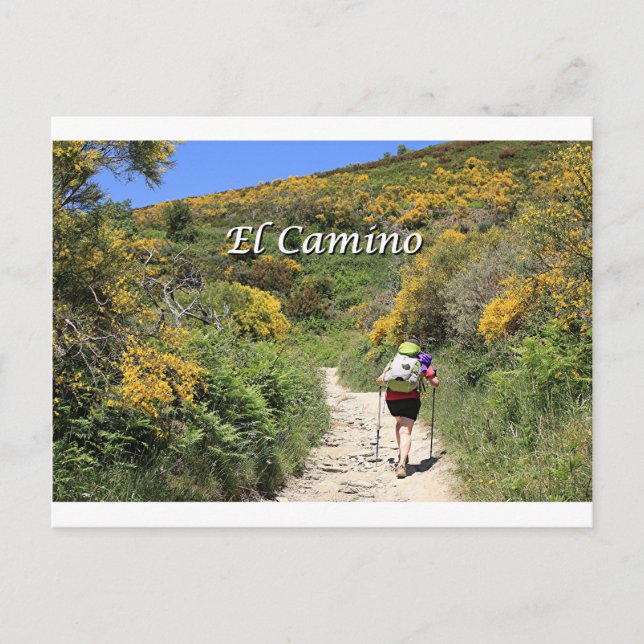 Carte Postale El Camino de Santiago de Compostela, Espagne, sent (Devant)