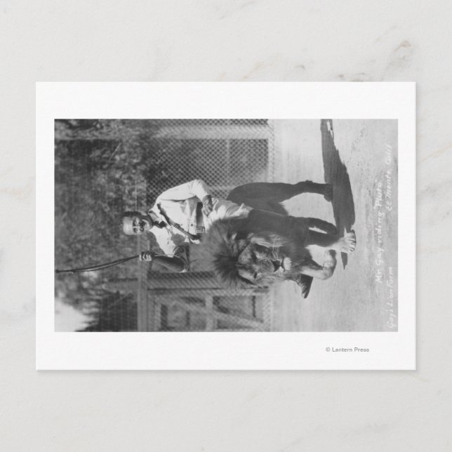 Carte Postale El Monte, CA Gay's Lion Farm - M. Gay équitation (Devant)