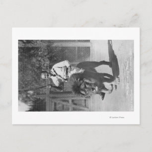 Carte Postale El Monte, CA Gay's Lion Farm - M. Gay équitation