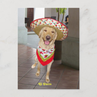 Carte Postale El Perro