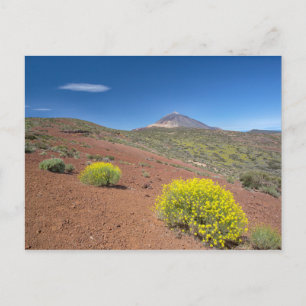Carte Postale El Teide au printemps