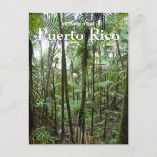Carte Postale El Yunque, Porto Rico