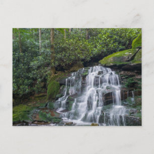 Carte Postale Elakala Falls #2, Virginie-Occidentale