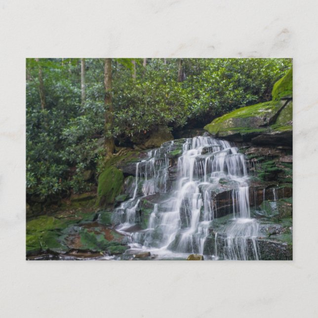 Carte Postale Elakala Falls #2, Virginie-Occidentale (Devant)