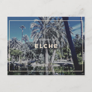 Carte postale Elche