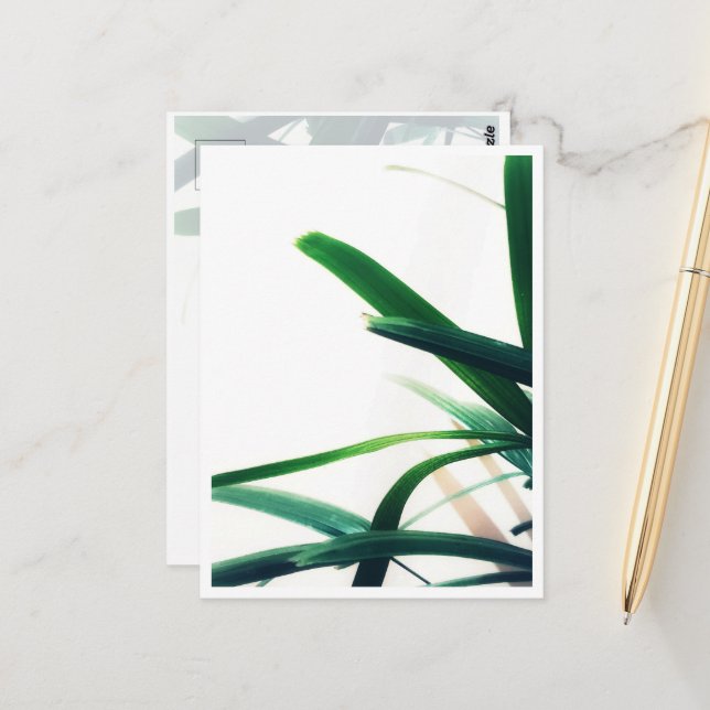 Carte Postale Élégance verte minimaliste (Devant/Arrière en situation)
