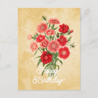 Élégant Anniversaire Fleur de Dianthus Chinensis V