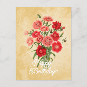 Carte Postale Élégant Dianthus Chinensis Fleur Anniversaire Vint