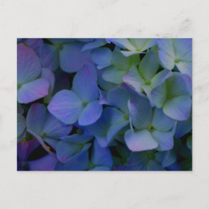 Carte Postale Élégant floral bleu poussiéreux violet