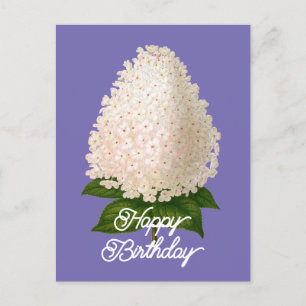 Carte Postale Élégant Hydrangea Paniculata Anniversaire Vintage