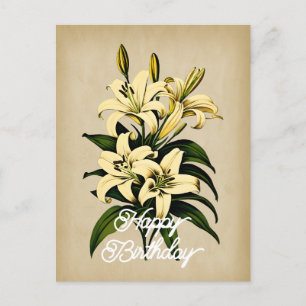 Carte Postale Elegant lys blanc vintage Joyeux Anniversaire