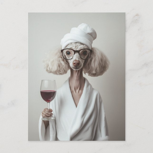 Carte Postale Élégant moment Spa de caniche (Devant)