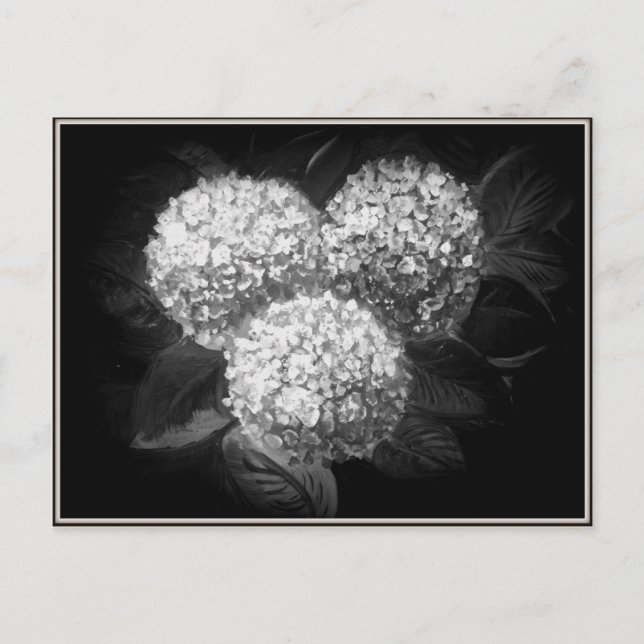 Carte Postale Élégant noir et blanc Hydrangea produits papier (Devant)