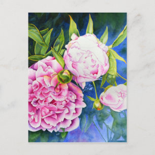 Carte Postale Elégant rose blanc classique aquarelle floral