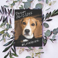 Élégant Simple Chic Moderne Mémoire de Chien Noir 
