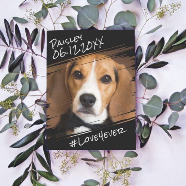 Carte Postale Élégant Simple Chic Moderne Mémoire de Chien Noir  (Créateur téléchargé)