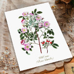 Carte Postale Élégant Vintage Botanique rose Rose sauvage<br><div class="desc">Illustration botanique vintage de la prairie ou du rose des prairies (Rosa blanda), espèce rose originaire d'Amérique du Nord, oeuvre d'art très élégante pour les amoureux de la nature ou des fleurs. Les roses sont souvent associés à l'amour, à la passion et à l'amour véritable. Des fleurs roses sauvages ont...</div>
