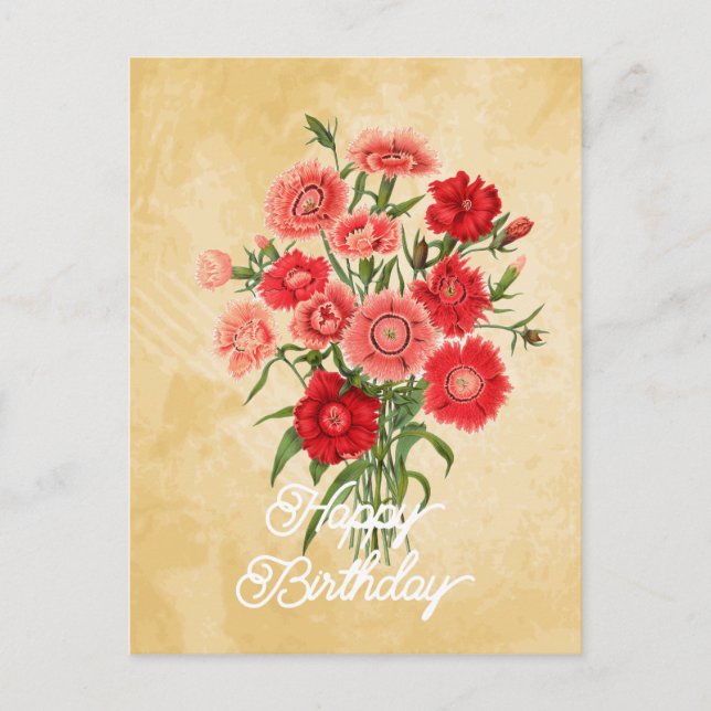 Carte Postale Elégant Vintage Dianthus Chinensis Flower Birthday (Devant)