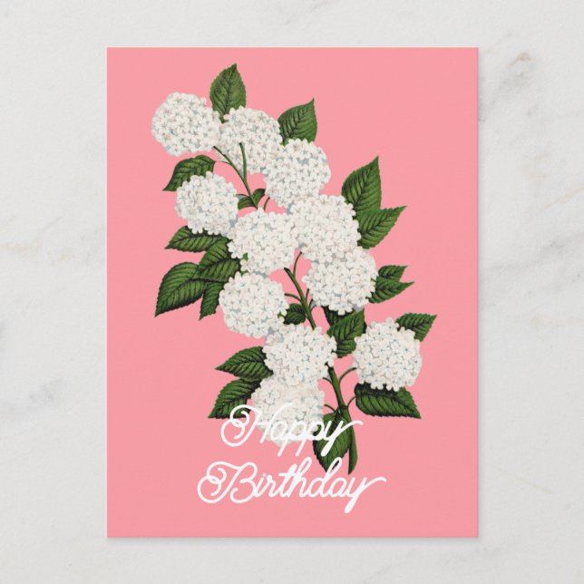 Carte Postale Élégant Vintage Japanese Snowball Joyeux Anniversa (Devant)