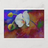 Elégante aquarelle blanche peinture d'orchidée flo