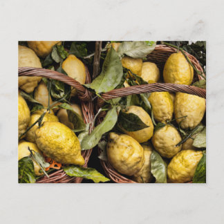 Carte Postale Élégante corbeille de citron italien citron de la