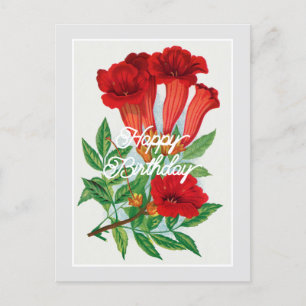 Carte Postale Elégante Fleur Vintage de Bignonia Joyeux Annivers
