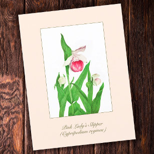 Carte Postale Élégante fleur Vintage de chlipper de dame