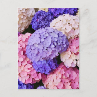 Carte Postale Élégante Hydrangée Bleue Image florale