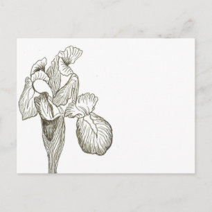 Carte postale élégante Iris
