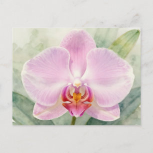 Carte Postale Élégante orchidée rose aquarelle botanique florale